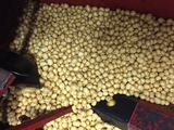 Yellow potatoes in the tank